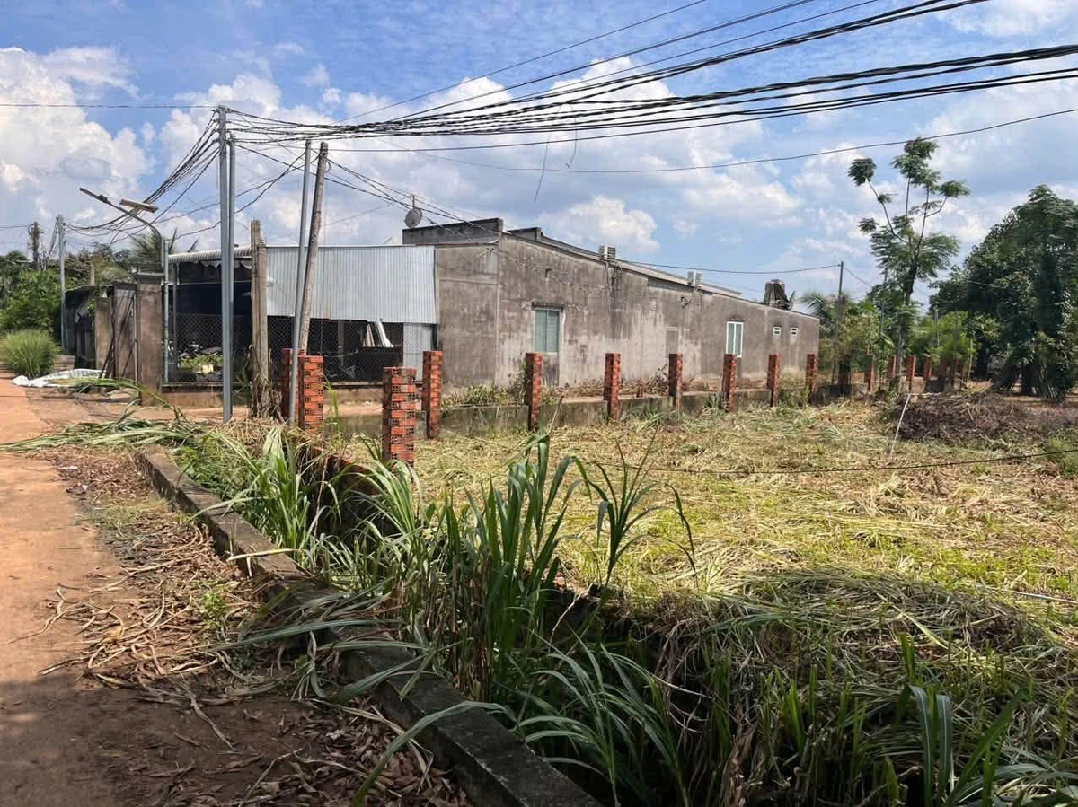 Bán đất Hóc Môn 145m² full thổ 350 triệu - Ảnh 1
