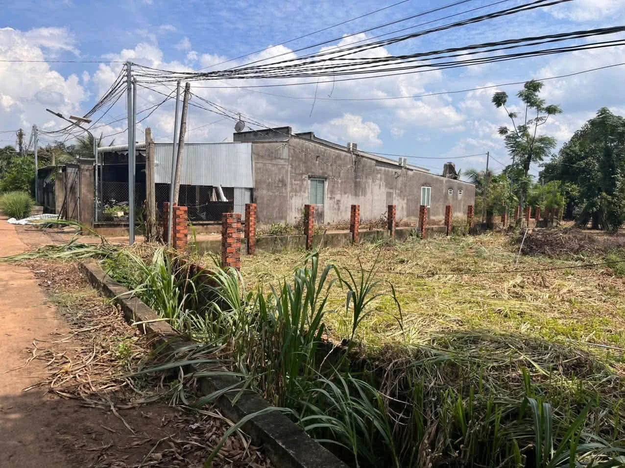 Bán đất Hóc Môn 145m² full thổ 350 triệu - Ảnh 1