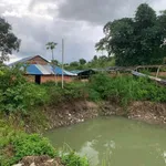 Bán 5,7 ha đất vườn cà phê có sổ hồng tại xã Đăk Mil, Lâm Đồng - Ảnh thu nhỏ 3