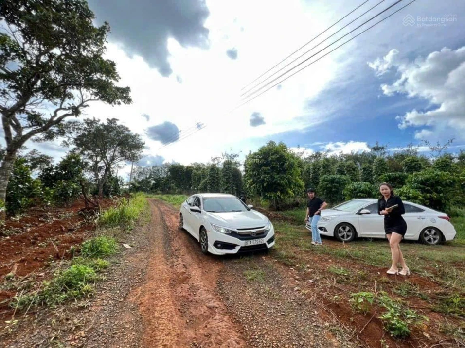 Bán đất view hồ Đắk Tik, 1500m2 - Ảnh thu nhỏ 5
