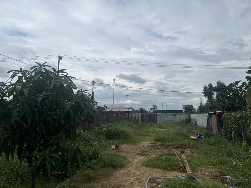 540m đất ở Hội An Tây, cách Nguyễn Tất Thành 500m, chiều ngang 10.5m, đường 13.5m. Giá chỉ 5,56tỷ - Ảnh thu nhỏ 5