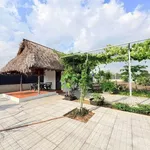 Bán đất vườn 1000m2 ngang 14m, Phú Giáo Bình Dương - Ảnh thu nhỏ 1
