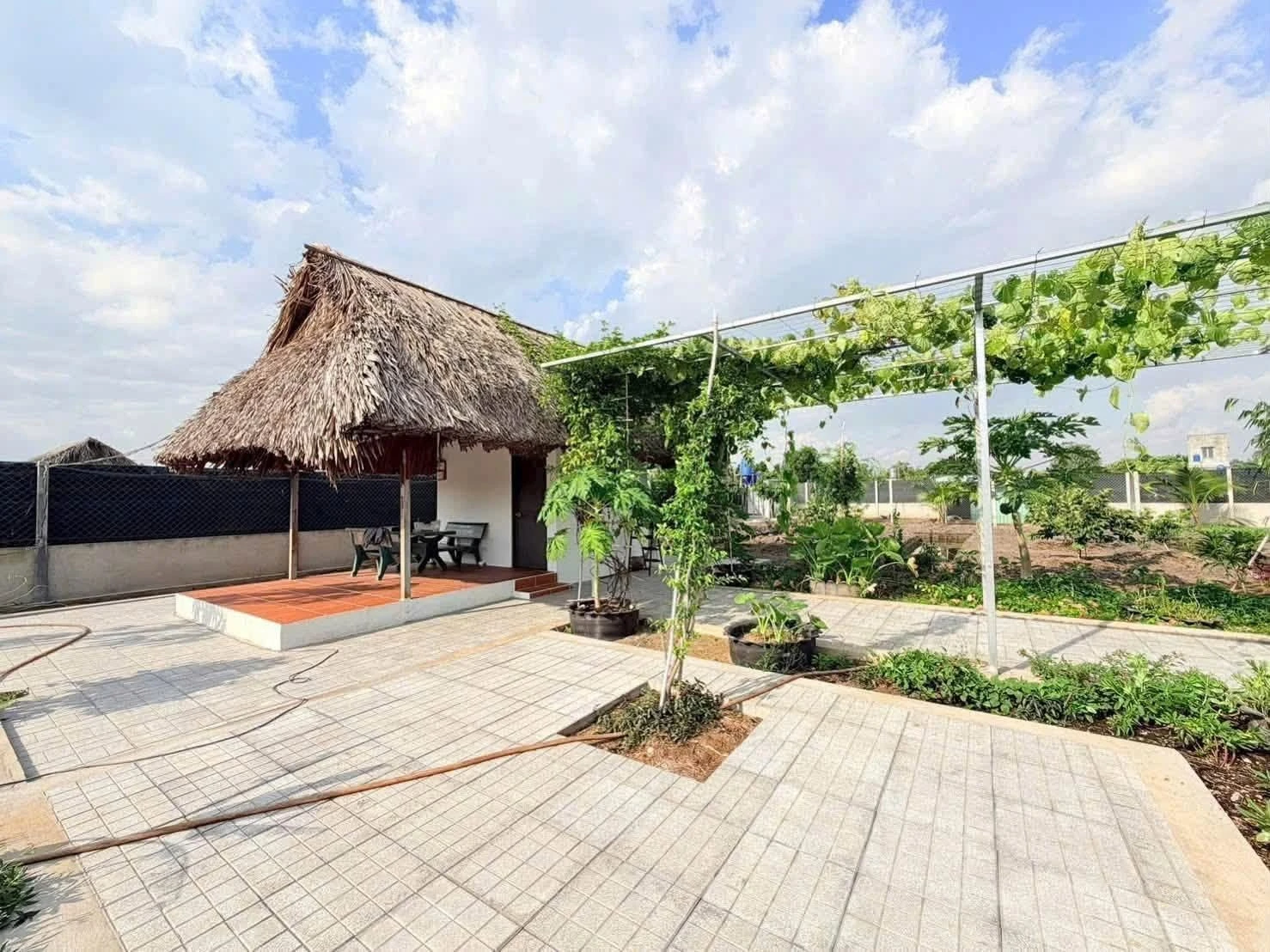 Bán đất vườn 1000m2 ngang 14m, Phú Giáo Bình Dương - Ảnh 1