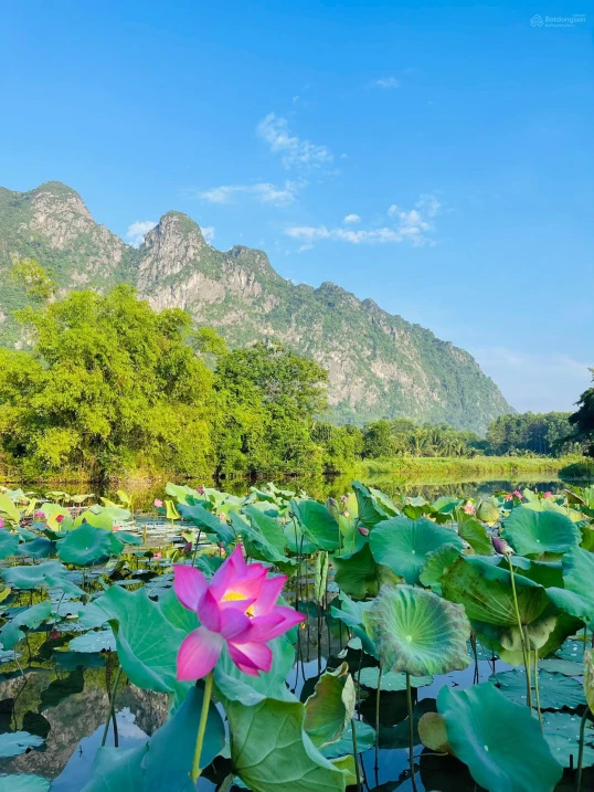 SIÊU PHẨM LẠC THỦY - GIÁP NINH BÌNH - CÁCH HÀ NỘI 65KM - Ảnh 1