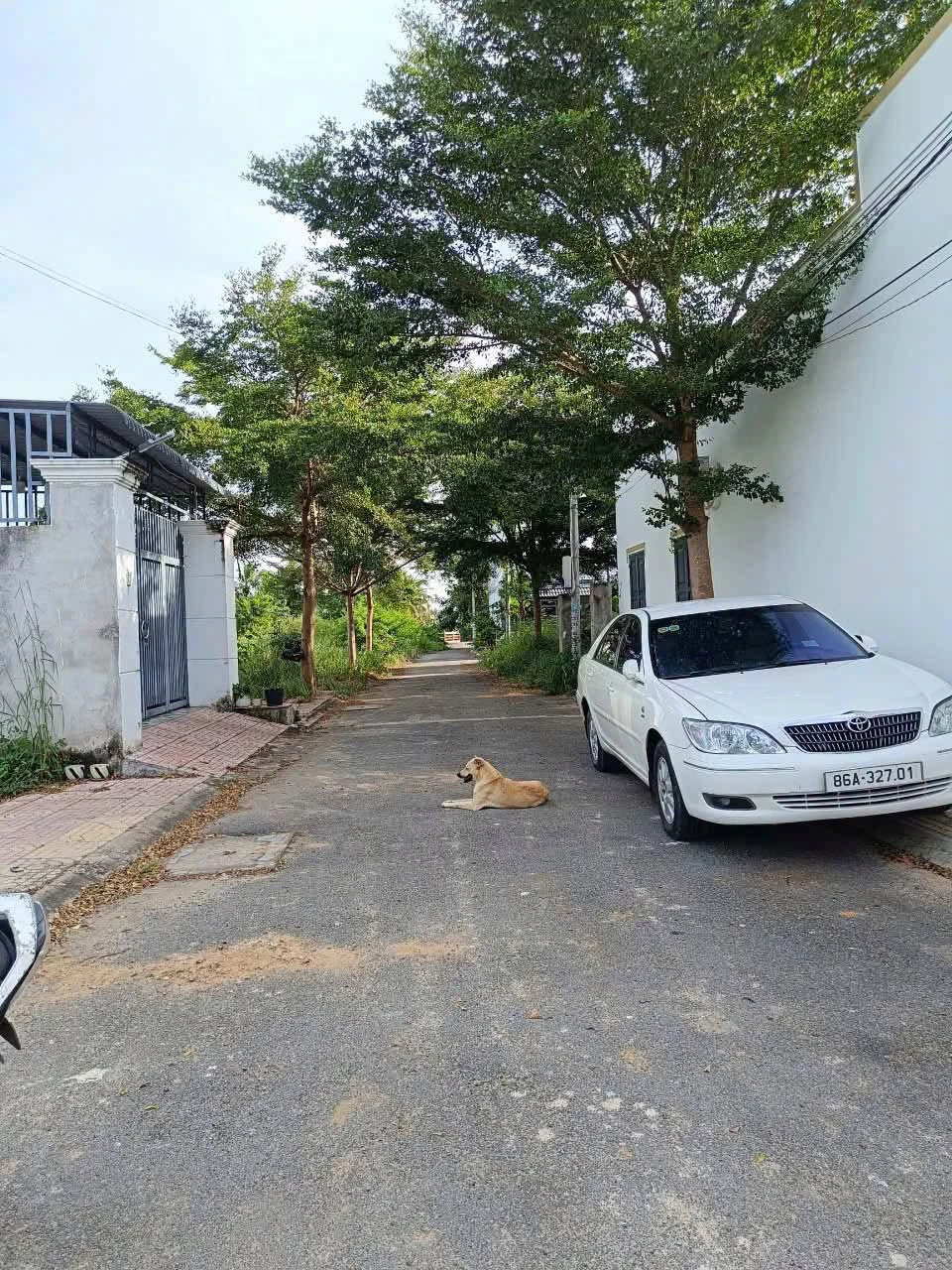 Bán lô đất 112m2 góc 2 mặt tiền Đan Chi Hàm Liêm - Ảnh 1