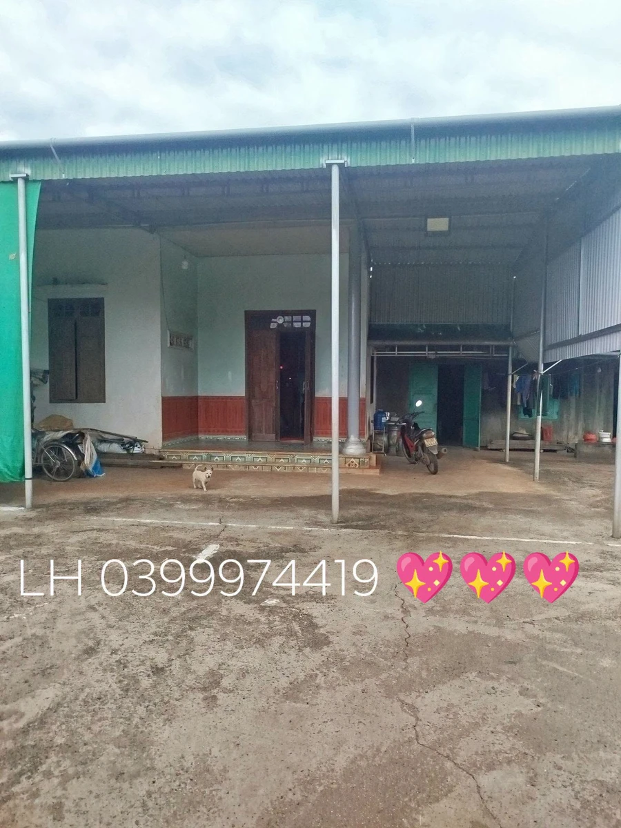 Bán đất cà phê 1,1 ha Xã Iagrai Pleiku 2,5 tỷ - Ảnh thu nhỏ 2