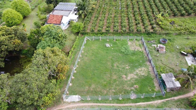 Bán lô đất 753,9m² góc 3 mặt đường Hàm Liêm