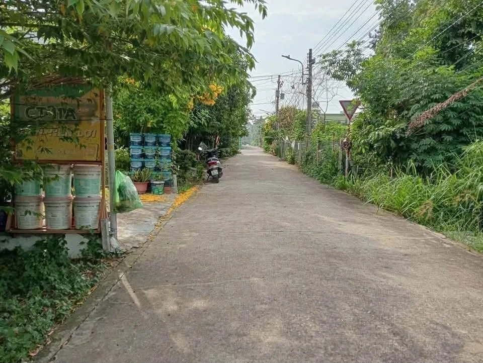 Bán lô đất thổ cư 100m2 đường nhánh Bà 39, Phường Phú An, giá 1,45 tỷ - Ảnh thu nhỏ 2