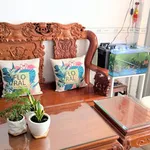 Bán nhà 58m2, 3PN 2WC, Hoàng Việt, Vũng Tàu, 3 tỷ 5 - Ảnh thu nhỏ 2