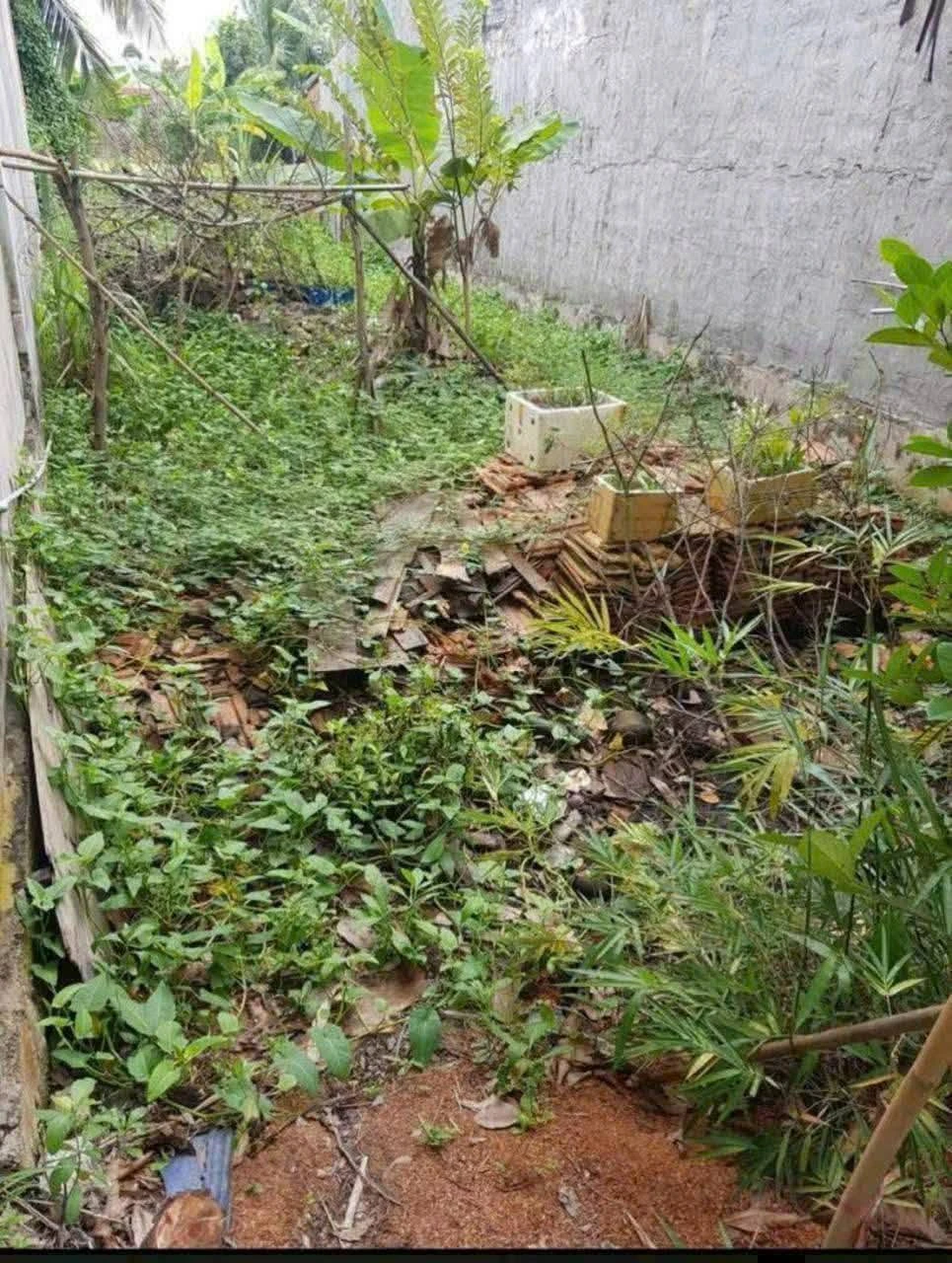 Bán nền thổ cư 100% 5x24m giá 770 triệu tại Lương Bình, Bến Lức, Long An - Ảnh 1