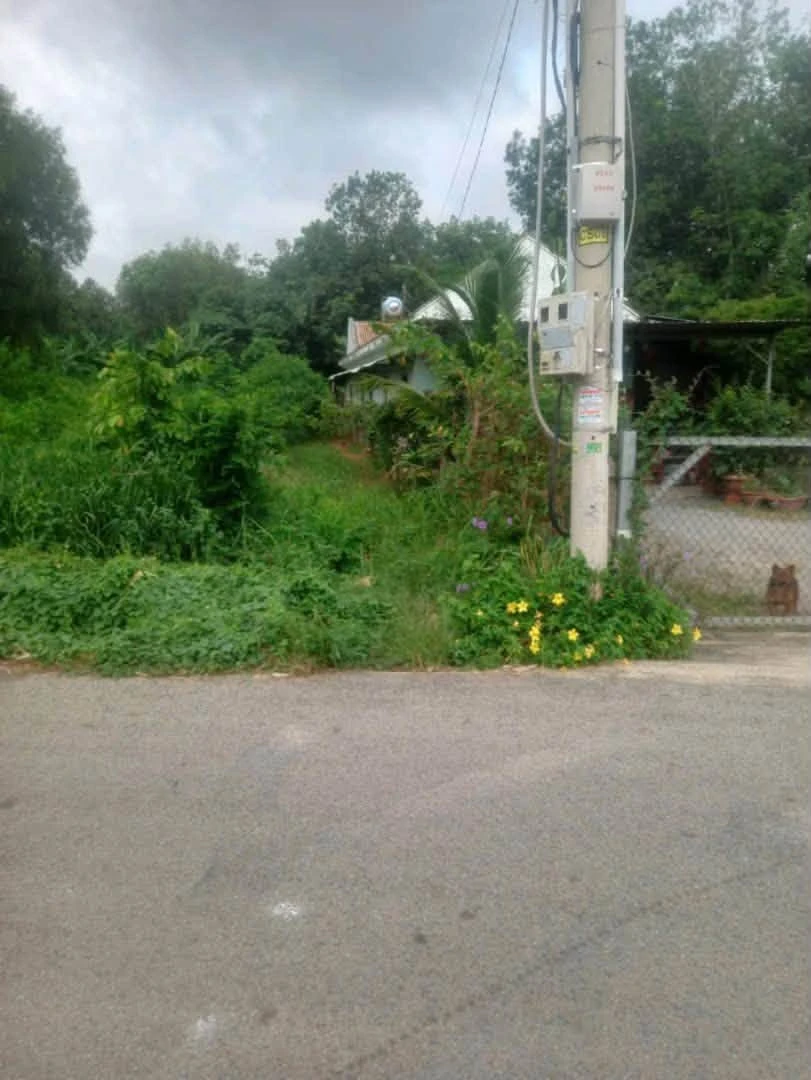 Bán lô đất 5000m² đường nhựa Phú An, Bình Dương - 3 tỷ 100 - Ảnh thu nhỏ 2