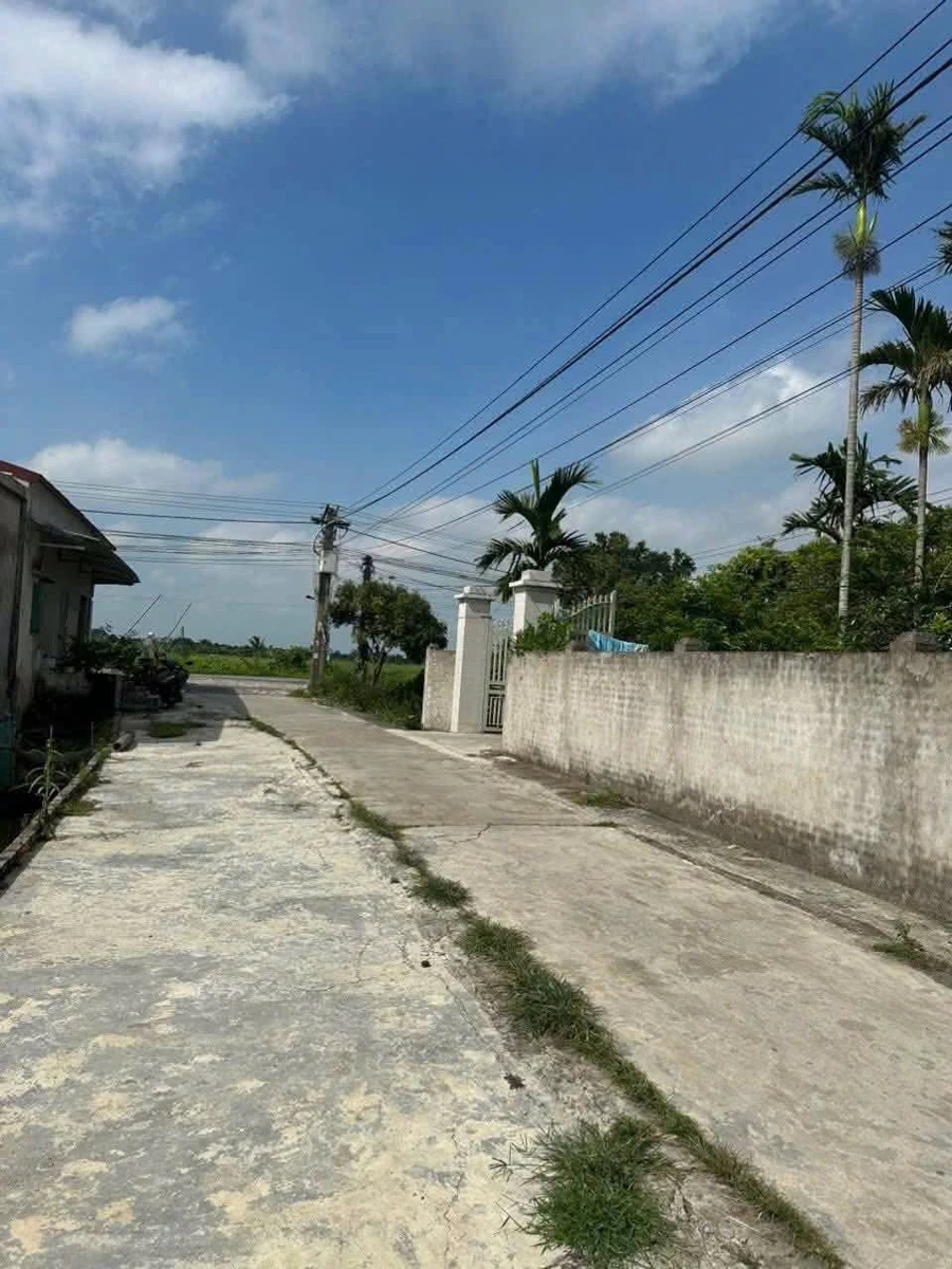 Bán lô đất 200m² Hồng Châu, Hải Phòng - 1 tỷ - Ảnh thu nhỏ 3