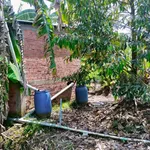 Bán đất vườn sầu riêng Thái 1500m2 tại Tiên Long, Tân Phú giá 820 triệu - Ảnh thu nhỏ 3