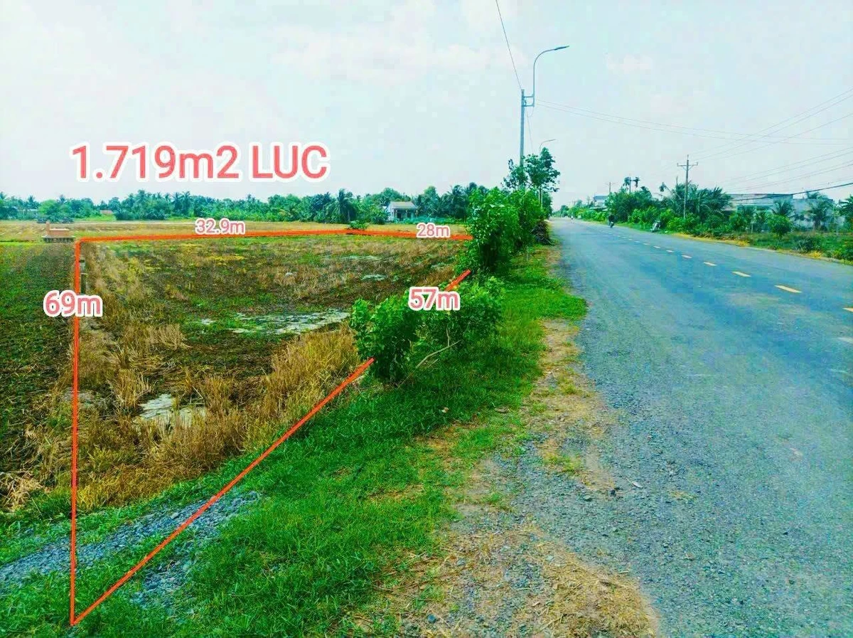 Bán đất 1.719m2 mặt tiền đường nhựa 832 xã Nhựt Ninh, Tân Trụ, Tây Ninh - Ảnh thu nhỏ 2