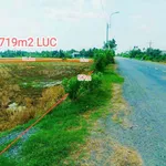 Bán đất 1.719m2 mặt tiền đường nhựa 832 xã Nhựt Ninh, Tân Trụ, Tây Ninh - Ảnh thu nhỏ 2