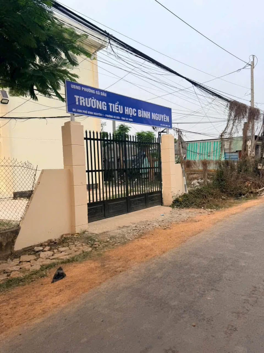 Bán đất vườn 572m² chỉ 279 triệu Gò Dầu Tây Ninh - Ảnh thu nhỏ 5