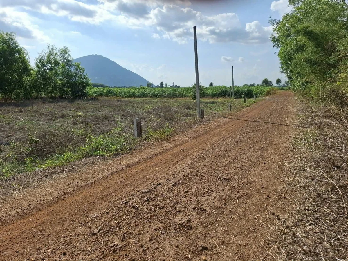 Bán đất 55m² Xã Phan Dương Minh, Tây Ninh, giá 175 triệu - Ảnh thu nhỏ 2