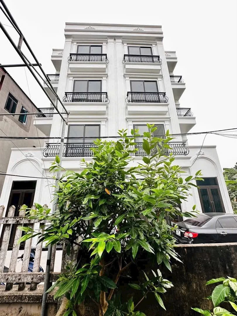Bán nhà 4 tầng 48m2 gần KĐT Tân Phú Hưng, Hải Dương - Ảnh thu nhỏ 2