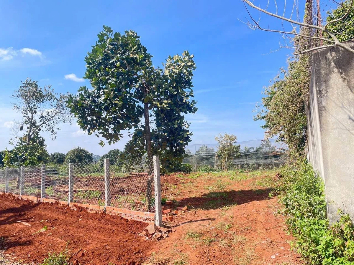 Bán lô đất mặt tiền Đạt Lý, Bình Minh, 380m² - Ảnh thu nhỏ 2
