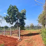 Bán lô đất mặt tiền Đạt Lý, Bình Minh, 380m² - Ảnh thu nhỏ 2