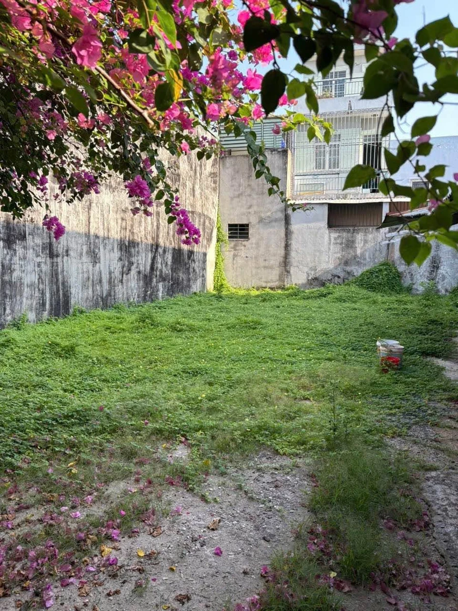Bán nhà và đất 300m2 mặt tiền 15m tại Long Hậu, Cần Giuộc, Long An - Ảnh thu nhỏ 2