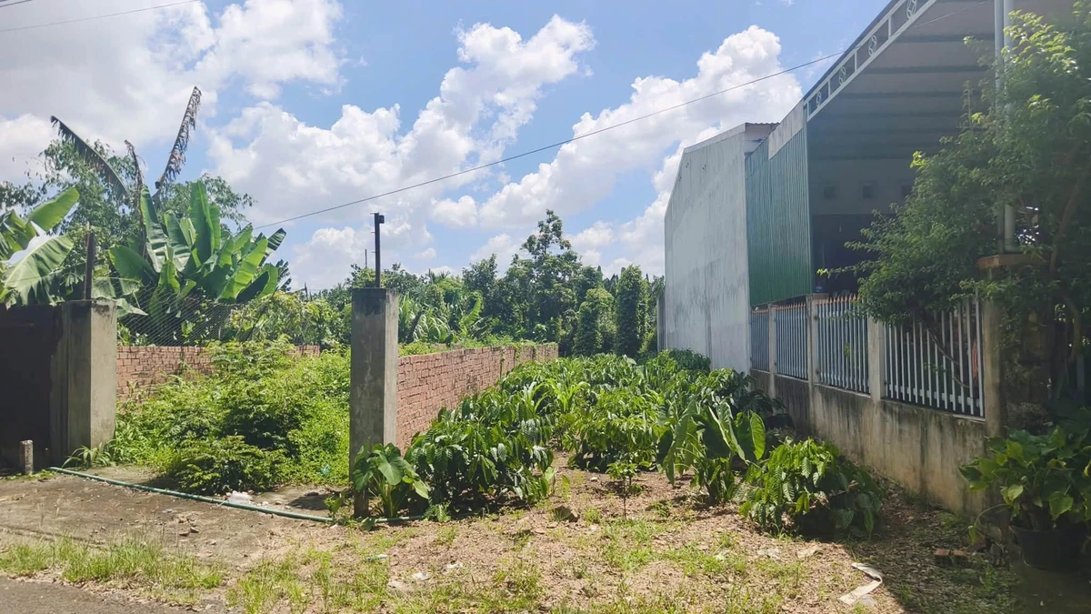 Bán đất hẻm 185m² Võ Văn Kiệt, Bình Tân - Ảnh 1