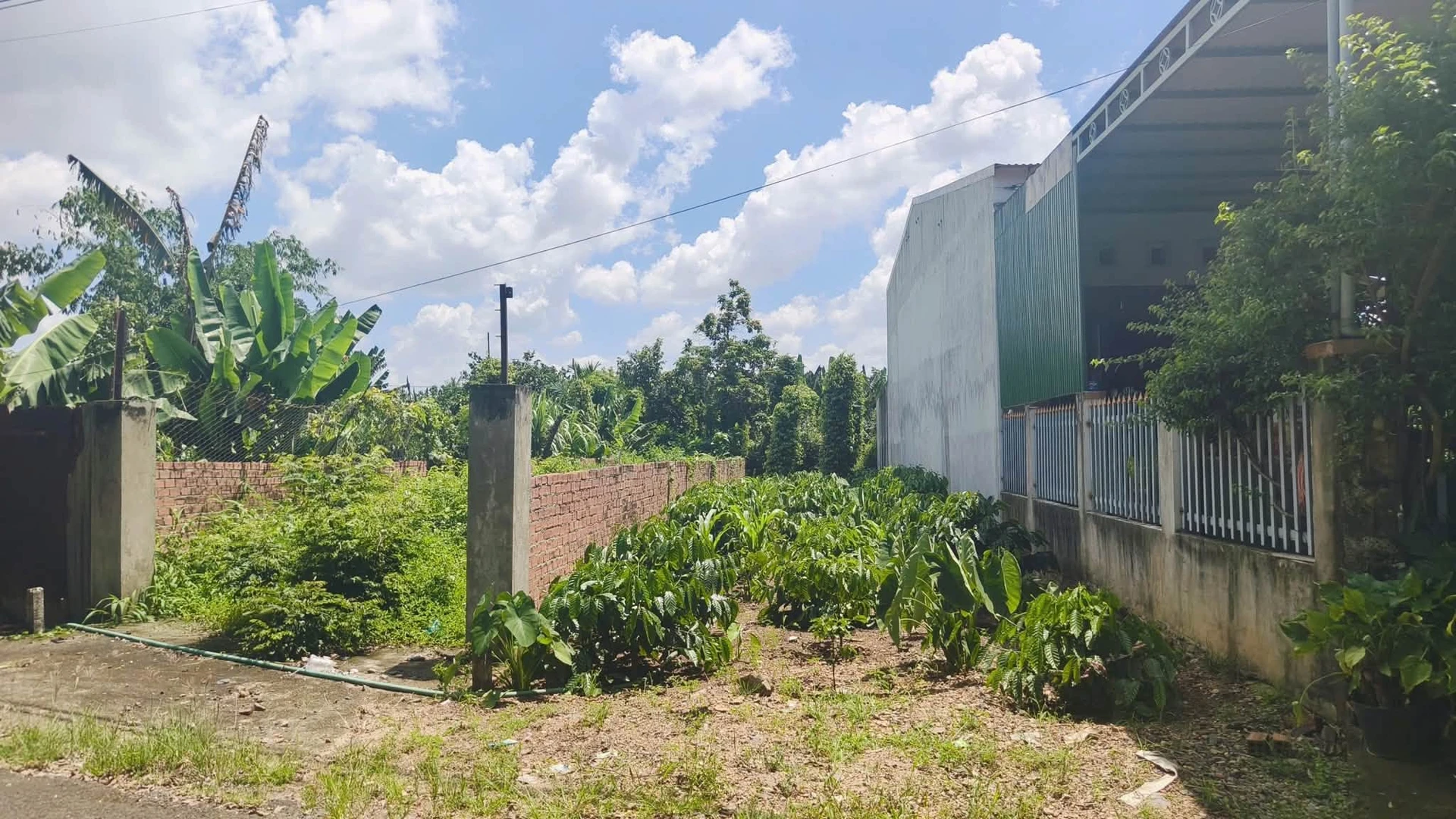 Bán đất hẻm 185m² Võ Văn Kiệt, Bình Tân - Ảnh 1