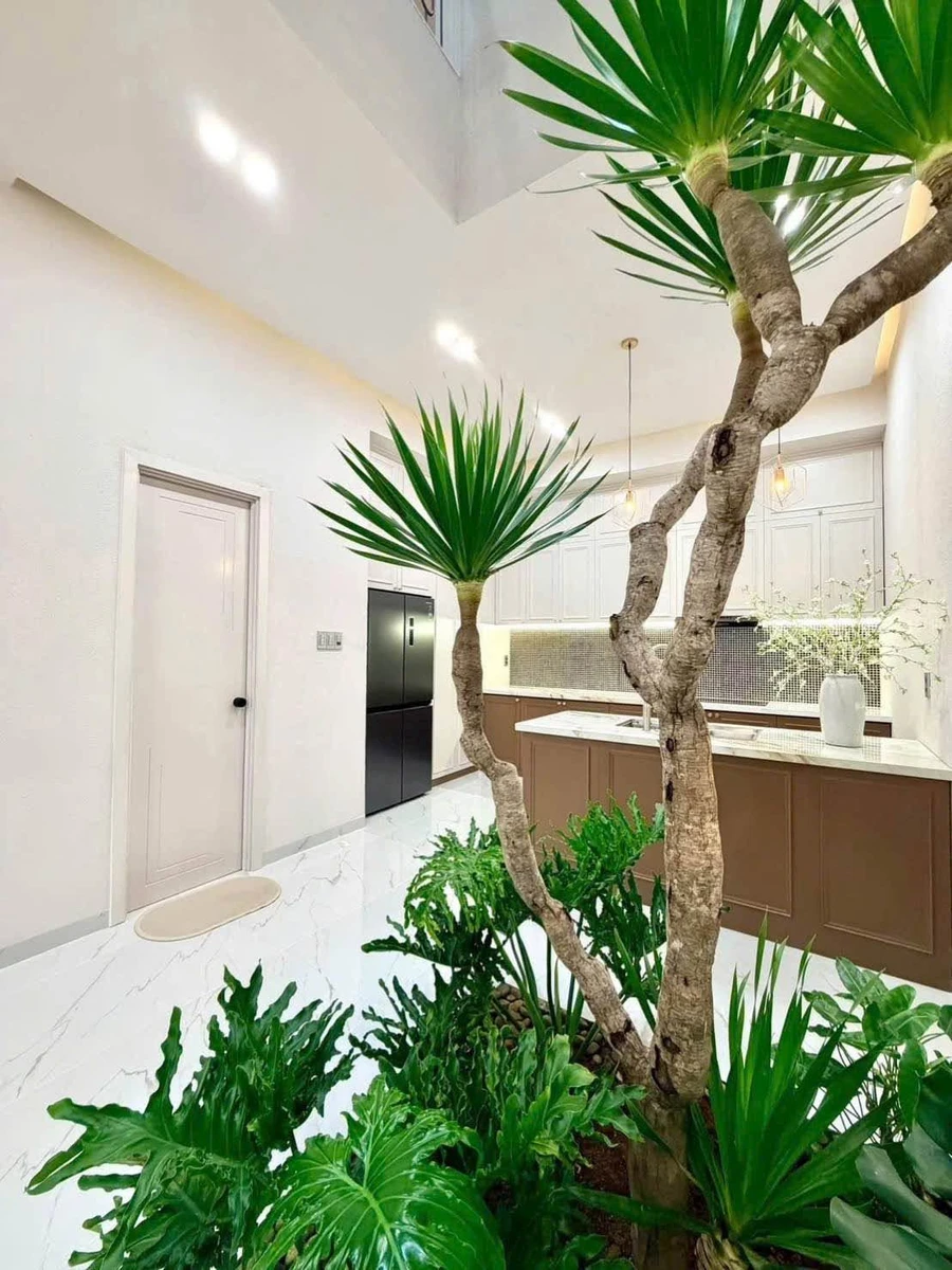 Bán nhà mặt tiền Xuân Diệu, Buôn Ma Thuột, 256m², 3PN, 8.39 tỷ - Ảnh 1