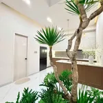 Bán nhà mặt tiền Xuân Diệu, Buôn Ma Thuột, 256m², 3PN, 8.39 tỷ - Ảnh thu nhỏ 1
