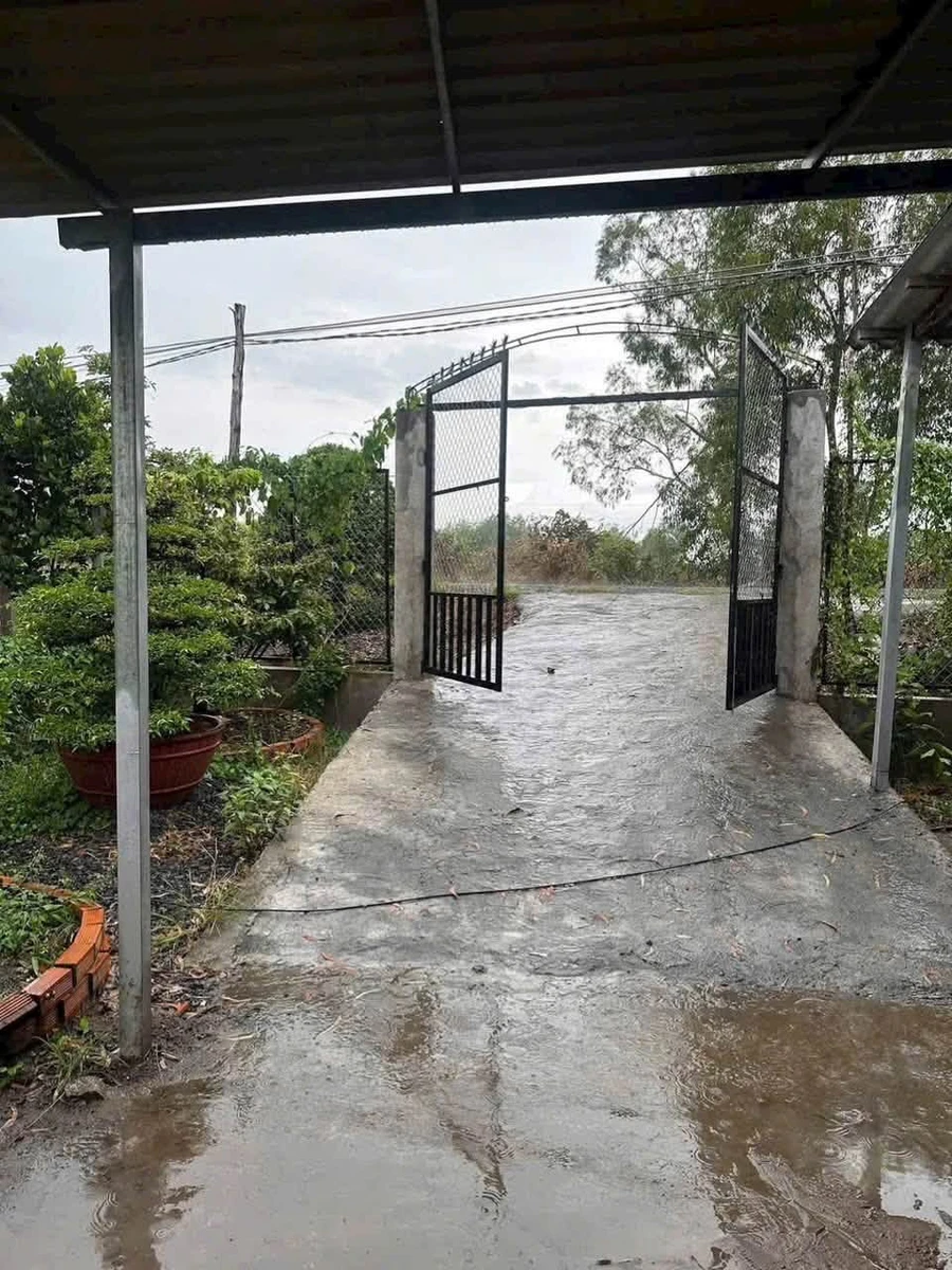 Bán đất vườn 1.000m² giáp sông Rạch Chiếc 1 tỷ 150 triệu Bến Lức - Ảnh thu nhỏ 5