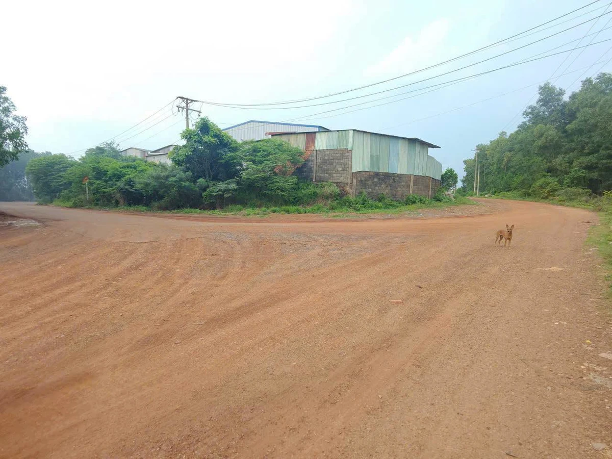 Bán lô đất hơn 1000m2 sổ riêng, đất ở tại Tân An, Vĩnh Cửu, Đồng Nai giá 1,1 tỷ - Ảnh thu nhỏ 4