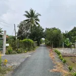 Bán đất thổ cư 150m² chỉ 150 triệu Thủ Thừa - Ảnh thu nhỏ 2