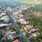 Bán đất mặt tiền TL683 200m2 Đắk Săk Lâm Đồng 2.5 tỷ - Ảnh thu nhỏ 2