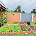 Bán nhà vườn 302m2 tại Rạch Giá, An Giang 2 tỷ 5 - Ảnh thu nhỏ 2