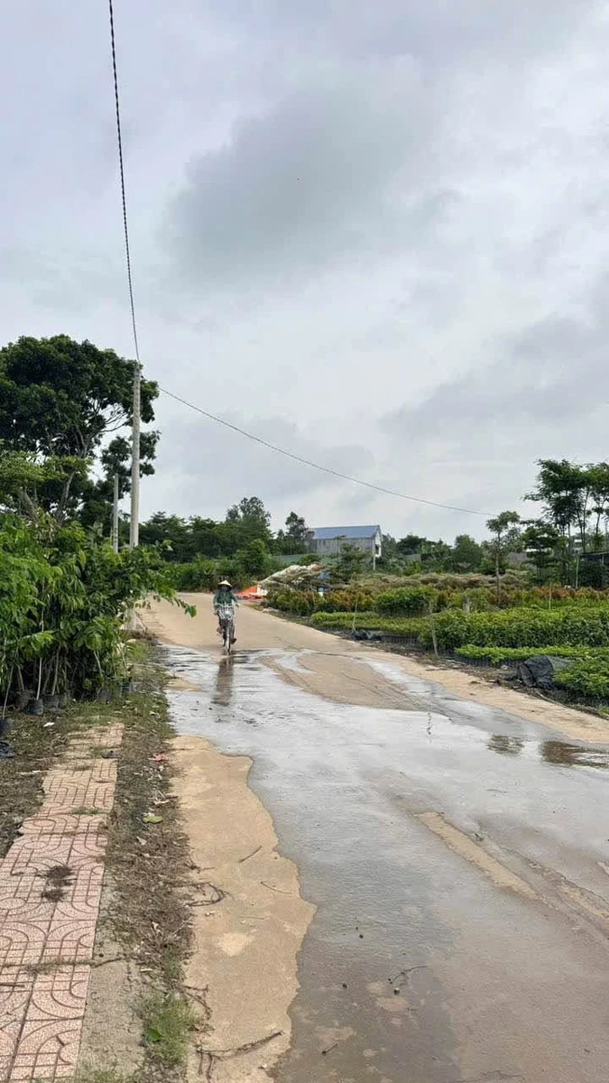 Bán đất Trảng Bom 1400m² giá 4 tỷ - Ảnh thu nhỏ 2