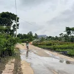 Bán đất Trảng Bom 1400m² giá 4 tỷ - Ảnh thu nhỏ 2