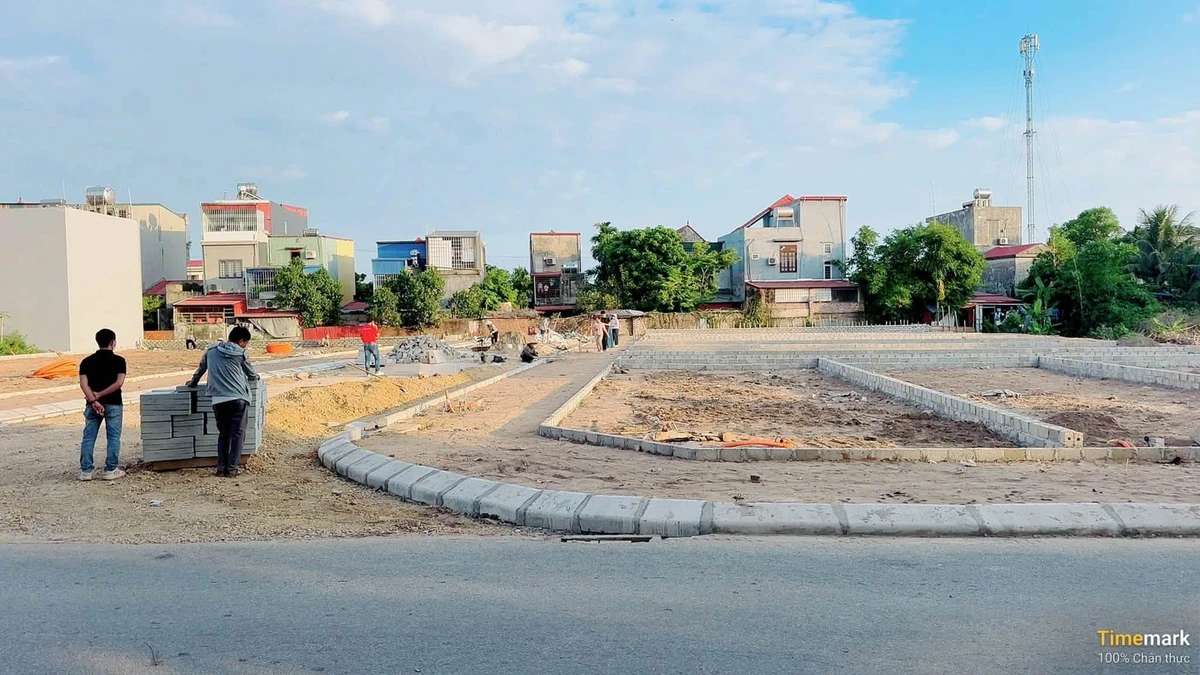 Bán đất nền Hưng Đạo Hải Phòng 90-108m2, 3 tỷ - Ảnh thu nhỏ 3