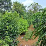 Bán nhà 260m² Phường 2 Bảo Lộc Lâm Đồng 7,5 tỷ - Ảnh thu nhỏ 3