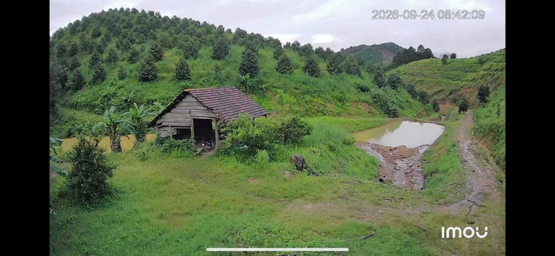 Bán 5,5 ha đất sầu riêng Mỹ Đức 4 tỷ