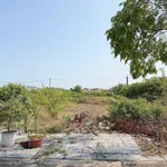 Bán lô đất 108m² (6x18) Gò Cát 8 Hòa Long Bà Rịa - Ảnh thu nhỏ 4
