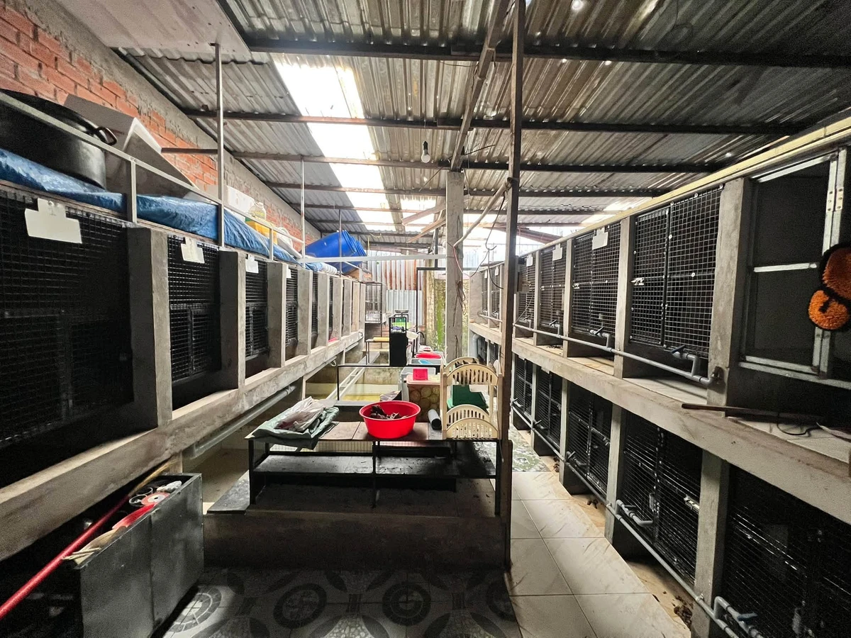 Bán đất + nhà cấp 4 + 4 phòng trọ MT Trần Văn Bỉnh, 223m², 4.8 tỷ - Ảnh thu nhỏ 3