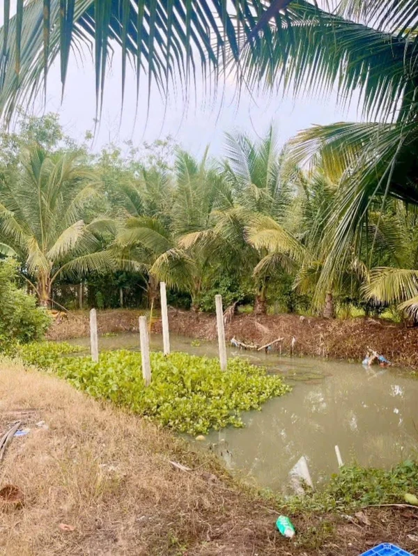 Bán khu nghỉ dưỡng 1.100m² Long Hoa, Tây Ninh 695 triệu
