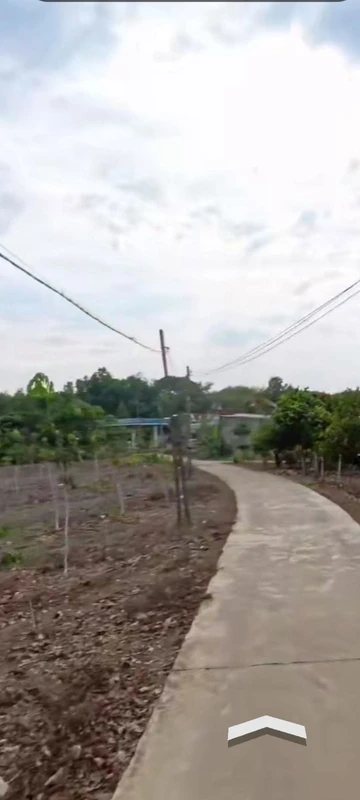Bán đất cao su 26000m² Tân Tiến, Bình Dương 9 tỷ 5