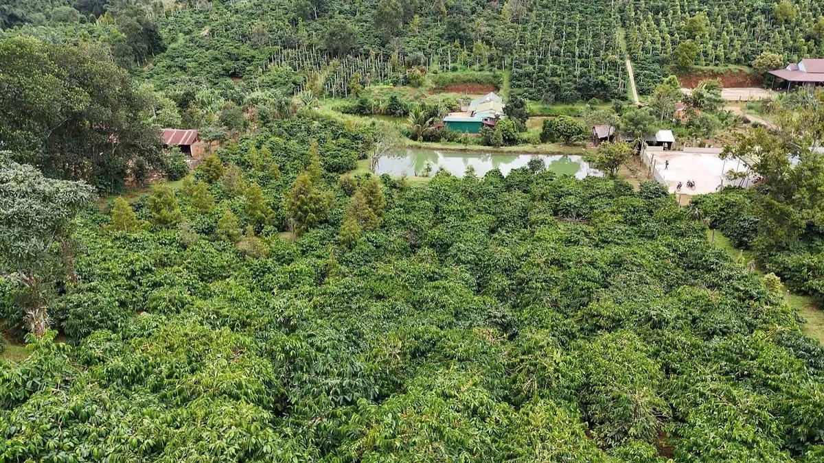 Bán 2.2ha đất kín gió ao suối Nam Jang - Ảnh thu nhỏ 2