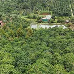 Bán 2.2ha đất kín gió ao suối Nam Jang - Ảnh thu nhỏ 2