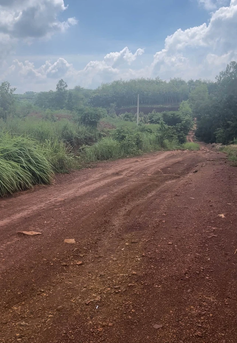 Bán đất 1000m2 ở Đồng Phú, 290 triệu - Ảnh thu nhỏ 2