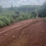 Bán đất 1000m2 ở Đồng Phú, 290 triệu - Ảnh thu nhỏ 2