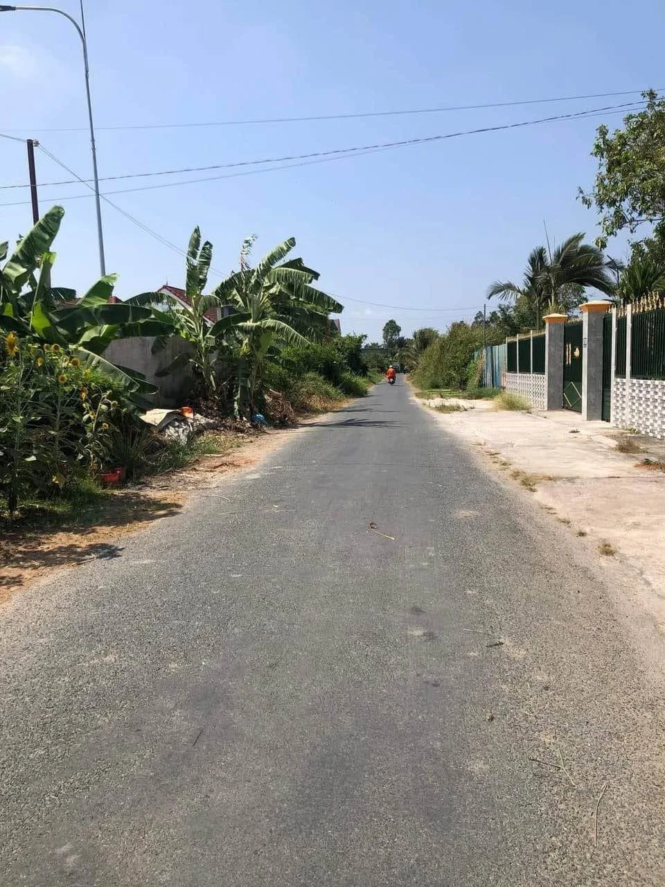 Bán lô đất thổ cư mặt tiền đường Nguyễn Kim Công, Tân An, 110m2, giá 1,59 tỷ - Ảnh 1