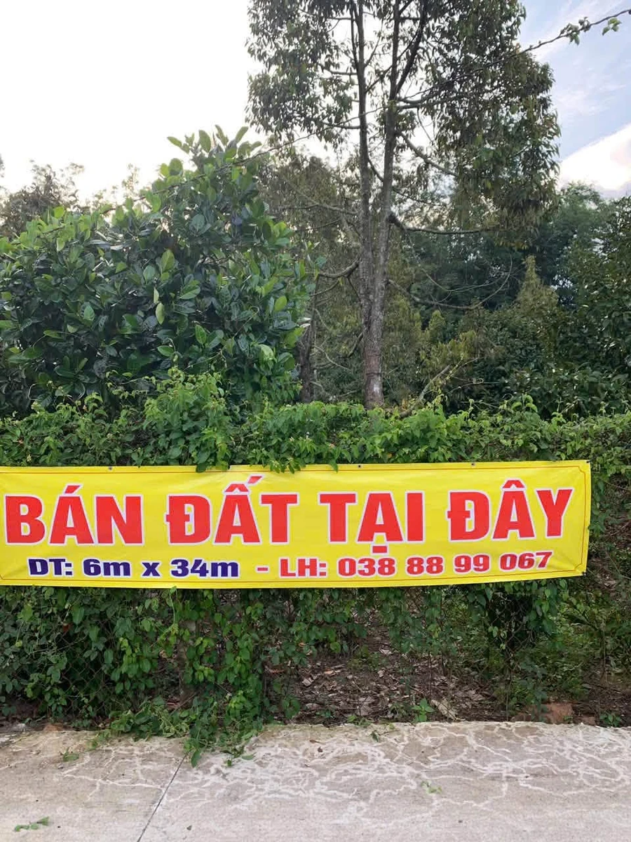 Bán đất Dương Minh Châu Tây Ninh 51m² vườn trái cây - Ảnh thu nhỏ 4