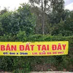 Bán đất Dương Minh Châu Tây Ninh 51m² vườn trái cây - Ảnh thu nhỏ 4